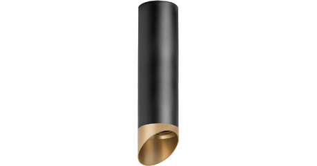 Накладной светильник Lightstar Rullo R64971490 (216497+201490)