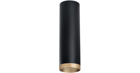 Накладной светильник Lightstar Rullo R6497490 (216497+203490)