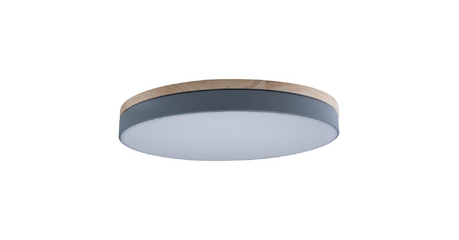Потолочный светильник Loft IT AXEL 10001/36 Grey