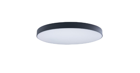 Потолочный светильник Loft IT AXEL 10002/48 Black