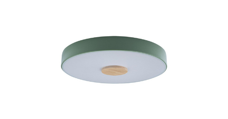 Потолочный светильник Loft IT AXEL 10003/24 Green
