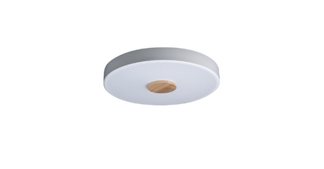 Потолочный светильник Loft IT AXEL 10003/24 White
