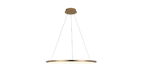 Подвесной светодиодный светильник Loft IT Ring 10014L