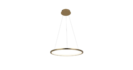 Подвесной светодиодный светильник Loft IT Ring 10014M