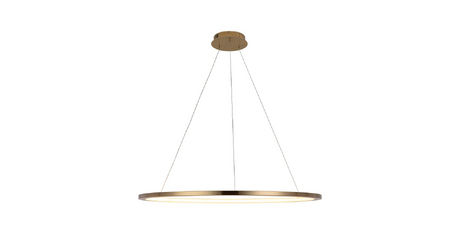 Подвесной светодиодный светильник Loft IT Ring 10014XL
