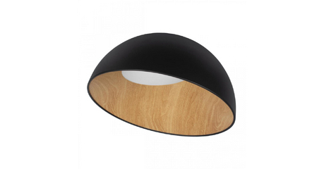 Потолочный светильник Loft IT Egg 10197/500 Black