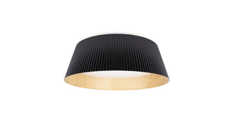 Потолочный светильник Loft IT Evans 10224 Black