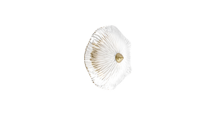 Настенный светильник Loft IT Bloom 10352W/A AB
