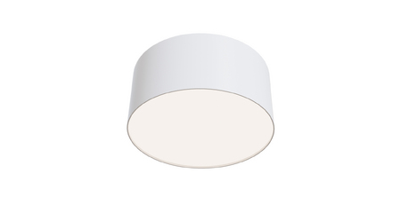 Потолочный светильник Maytoni Technical Ceiling & Wall C032CL-12W4K-RD-W