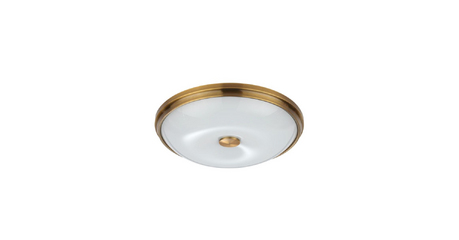 Настенно-потолочный светильник Odeon Light Pelow 4956/4