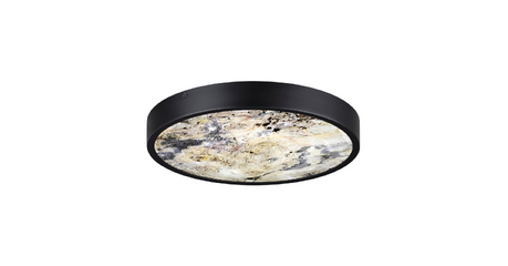 Настенно-потолочный светильник Odeon Light Bergi 5064/24L