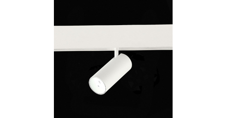 Трековый магнитный светильник ST Luce Skyline 48 ST375.506.07ZGB